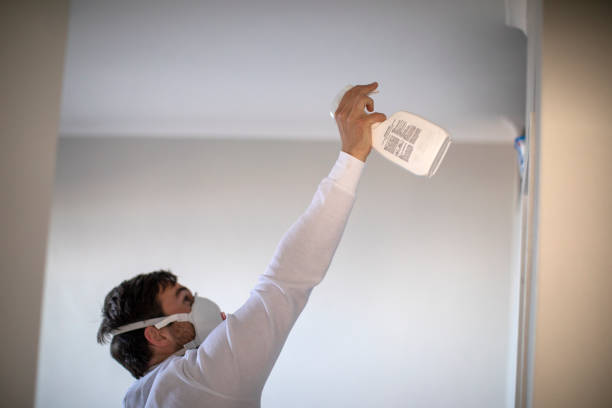 Best Emergency Mold Removal  in Onarga, IL